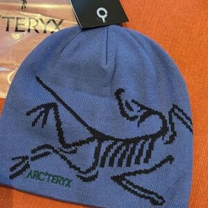 Arc'teryx Blue Logo Knit Beanie